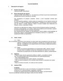 Esquema de plan de negocios.