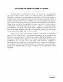 Reflexion del video ciclo de la locura