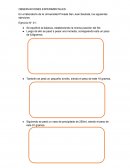 Informe de observaciones experimentales de química