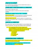 Resumen y preguntas de derecho