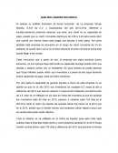 ANÁLISIS LIQUIDEZ SOLVENCIA