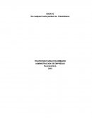 Ensayo De cualquier modo pierden los Colombianos