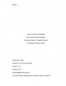 Ensayo Libros de Contabilidad