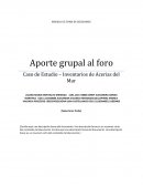 Caso de Estudio – Inventarios de Acerias del Mar