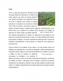 Políticas de otros paìses