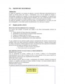 El equipo de seguridad