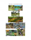 COLLAGE – TALLER SER NATURAL