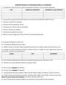 GEOGRAFIA 6° BLOQUE III REPASO