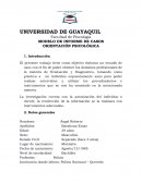 MODELO DE INFORME DE CASOS ORIENTACIÓN PSICOLÓGICA