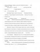 Planeación sobre el segundo bimestre, 6º grado