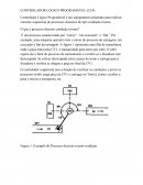 CONTROLADOR LÓGICO PROGRAMÁVEL (CLP)
