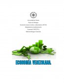 Explique la influencia que tiene la disminución del precio del barril de petróleo para la economía venezolana