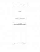 Ensayo sobre la explotación infantil