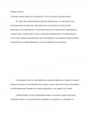 Enfoque sistemico de un colegio