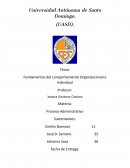 Fundamentos del comportamiento Organizacional e Individual