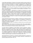 La interacción de dos procesos cognitivos; memoria y atención