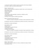 Paquete “Arquitectura maya”. Paquete “Museografía del Museo Popol Vuh”