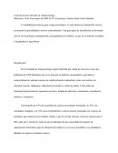 Creación de un Cibercafé en Ahuaucotzingo