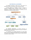 SECTORES DE LA ECONOMIA . Las actividades económicas se dividen, para el mejor estudio de la producción del hombre, en tres sectores: primario, secundario y terciario