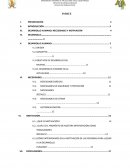 Desarrollo Humano: Necesidades y Motivación