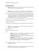 Estrategia de Merchandising - Yogurt Gloria