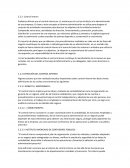 Control interno - ensayo