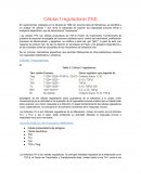 Células T reguladoras (Th3)