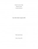 Fallo Cardiaco Congestivo