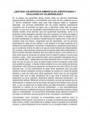 ENSAYO DE QUÉ SON LOS SERVICIOS AMBIENTALES, IDENTIFICANDO Y EVALUANDO SU VULNERABILIDAD?