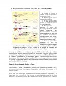 AVERY, Mc LEOD Y Mc CARTY