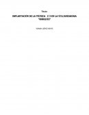 Implantación de la Técnica 5´s en la Vulcanizadora “Márquez”