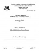Experimentos sencillos de los temas de fluidos y gases