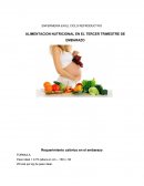 La gran Dieta tercer trimestre de embarazo
