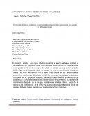 El efecto del hueso sintético y la membrana de colágeno