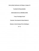 La importancia de la psicología social.