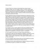 Acidos nucleicos es un polímero de gran tamaño que contiene carbono, hidrogeno y oxígeno