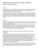 Estrategias de aprovechamiento de la luz natural en Arquitectura