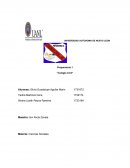 Personajes de obre El Censo