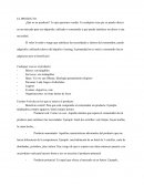 Marketing: EL producto