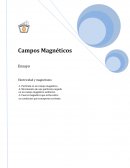 Campo magnetico. Electricidad y magnetismo