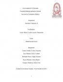 Tema Planificación Fiscal