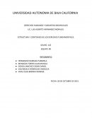 ESTRUCTURA Y CONTENIDO DE LOS DERECHOS FUNDAMENTALES