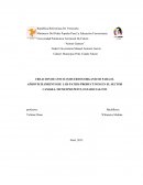 CREACION DE CINCO (5) HUERTOS ORGANICOS PARA EL APROVECHAMIENTO DE LOS PATIOS PRODUCTIVOS EN EL SECTOR CAMARA, MUNICIPIO PETIT, ESTADO FALCON