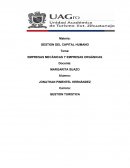 LAS GRANDES EMPRESAS MECANICAS Y ORGANICAS