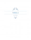 TAREA 2 Caso Timbuk2