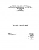 PROYECTO DE FUNDACIONES Y MUROS