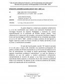 EJEMPLO DE INFORME DE JORNADAS PARA PRESENTAR A UGEL