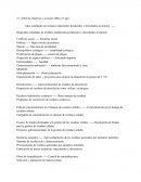 Árbol de objetivos y acciones (Máx 2,5 pg)