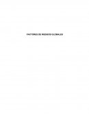 Factores de riesgo global