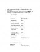 INFORMACION BASICA DIGITADA POR EL DEUDOR SOLIDARIO PARA EFECTOS DEL ESTUDIO CORRESPONDIENTE